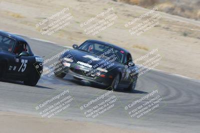 media/Nov-04-2023-CalClub SCCA (Sat) [[cb7353a443]]/Group 3/Cotton Corners (Race)/